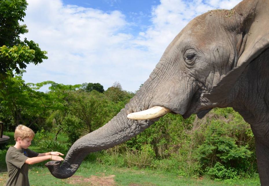 Thailandia e turismo sostenibile:  i Santuari degli elefanti