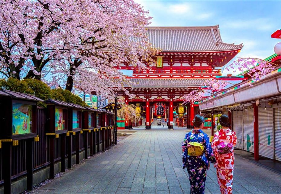 Dove vedere la fioritura dei ciliegi in Giappone