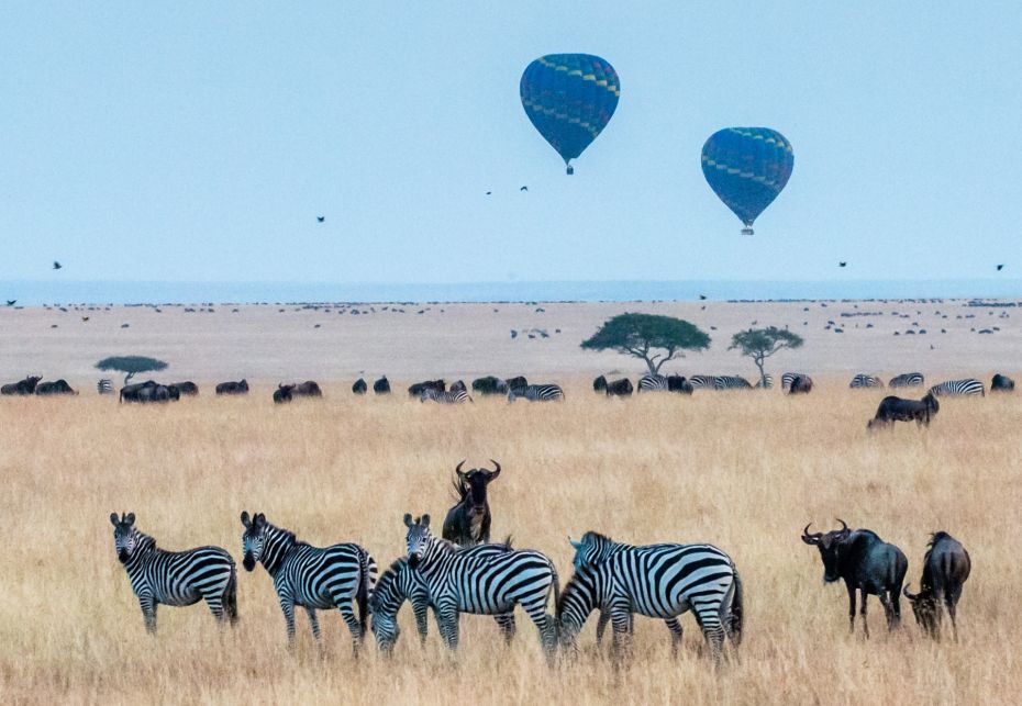 Parco Nazionale Masai Mara, Kenya