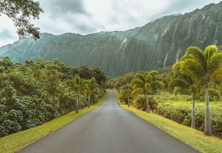 HO’OMALUHIA BOTANICAL GARDEN, Hawaii (USA)