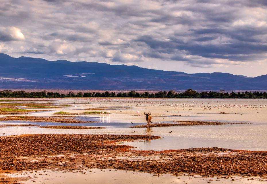 Ngorongoro, Tanzania