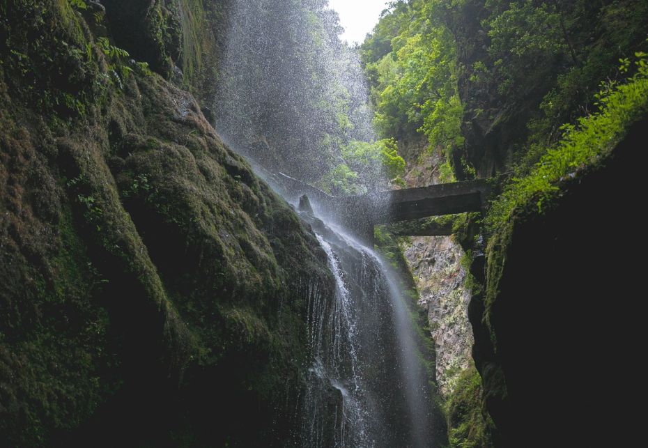 Bosco di Los Tilos, La Palma