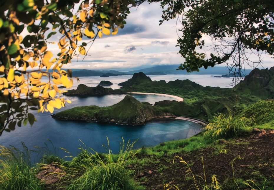 PARCO NAZIONALE DI KOMODO, Indonesia