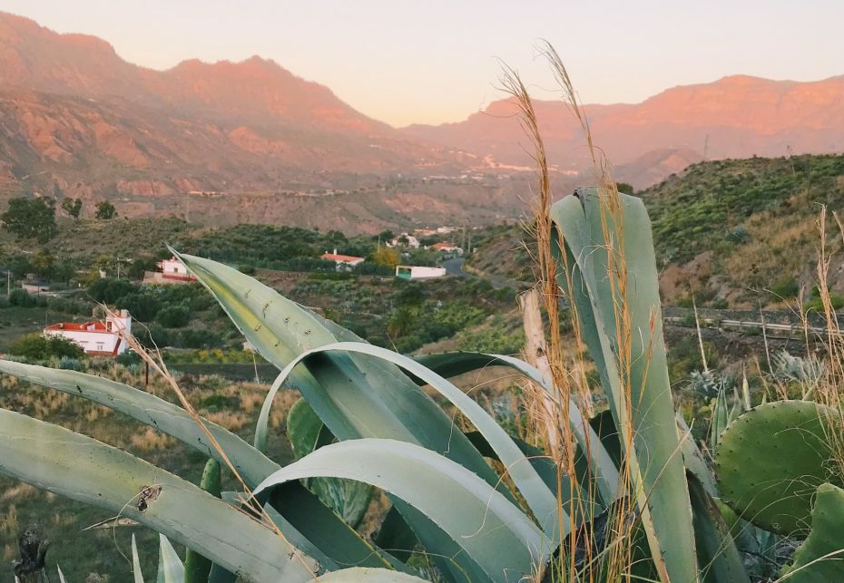 Gran Canaria