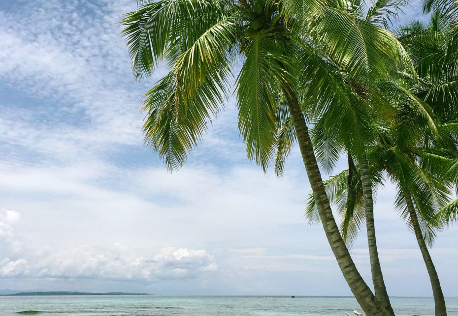 Kaanapalai Beach