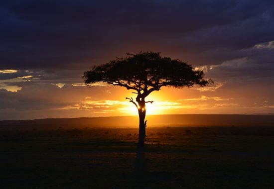 Viaggio in Kenya: cosa vedere assolutamente in 7 giorni