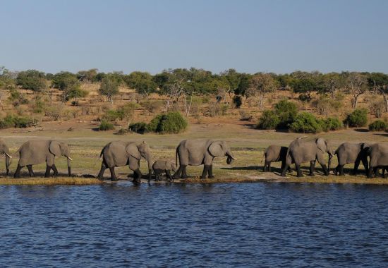 quando andare in botswana