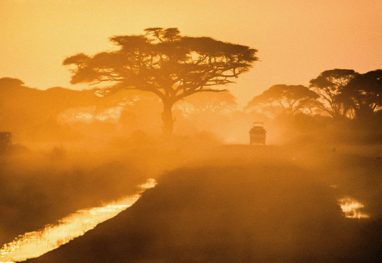 Cosa portare per un safari nella natura