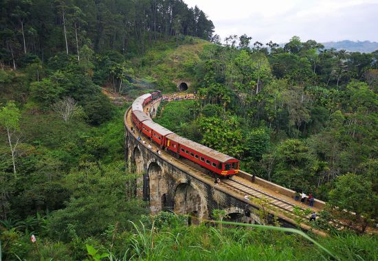5 esperienze da vivere in Sri Lanka