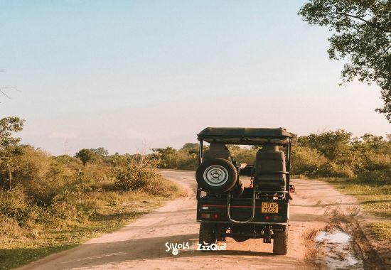 Safari on the road in Sudafrica: 5 attività imperdibili con ZzzQuil nello zaino
