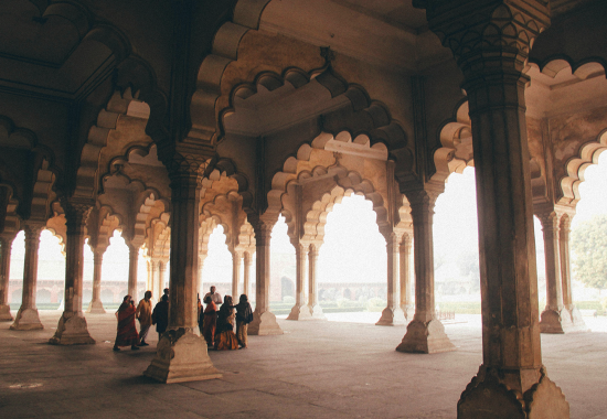 India: 10 attività uniche tra cultura, natura e spiritualità