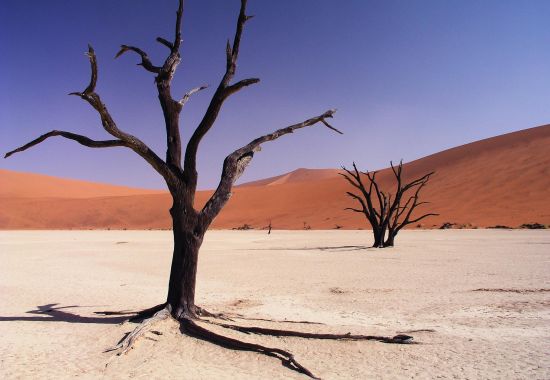 Tutto ciò che c'è da sapere su Sossusvlei, tra i luoghi più incredibili della Namibia