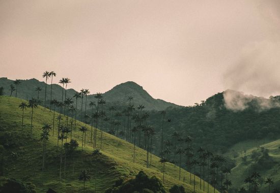 Viaggio in Colombia: natura, cultura e avventura