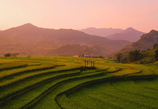 Autunno in Vietnam: on the road tra risaie e treni notturni