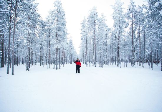 Inverno in Lapponia: viaggio nel villaggio di Babbo Natale
