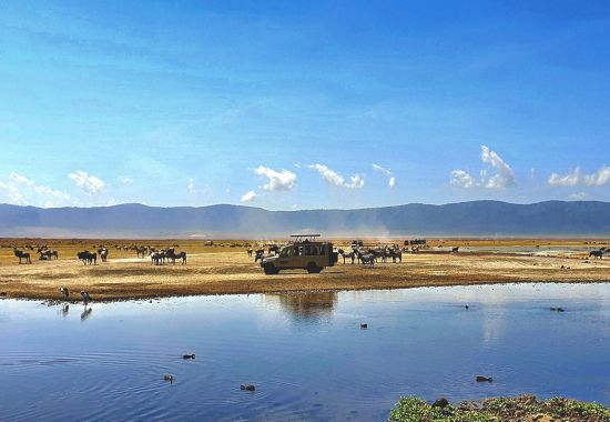 Estate in Tanzania e Zanzibar: il momento perfetto