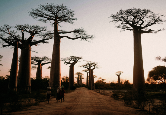 Madagascar: 5 motivi per un’avventura da vivere