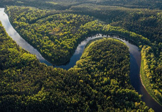 Avventura nella Foresta Amazzonica: guida completa