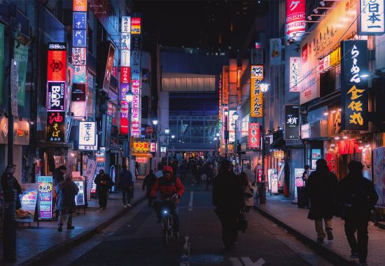 Tokyo Safari: alla scoperta del Giappone autentico