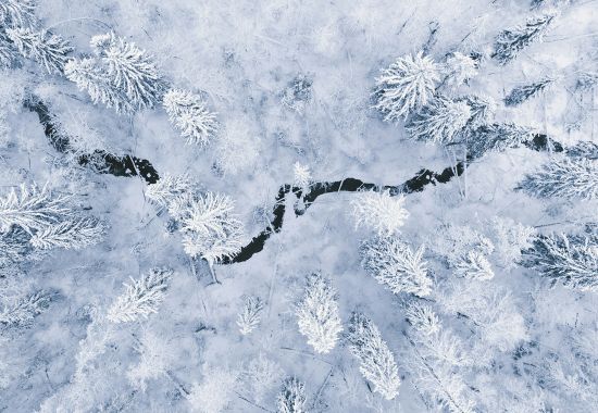 Lapponia svedese a gennaio: viaggio per scoprire il magico Nord