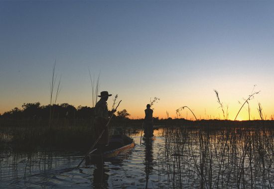 6 esperienze straordinarie in Botswana tra safari e natura