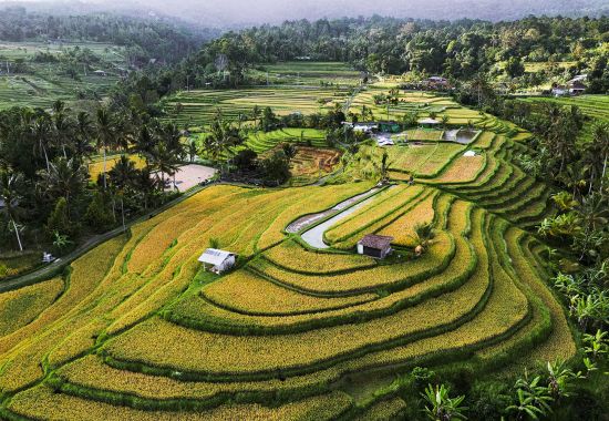 Sconti Estate 2026: viaggi e avventura nella natura wild