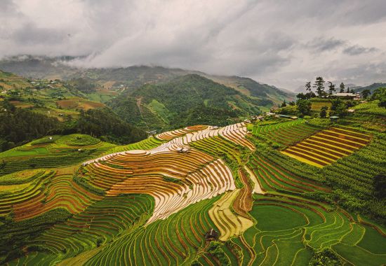 Viaggi in Asia a novembre: le 4 migliori destinazioni