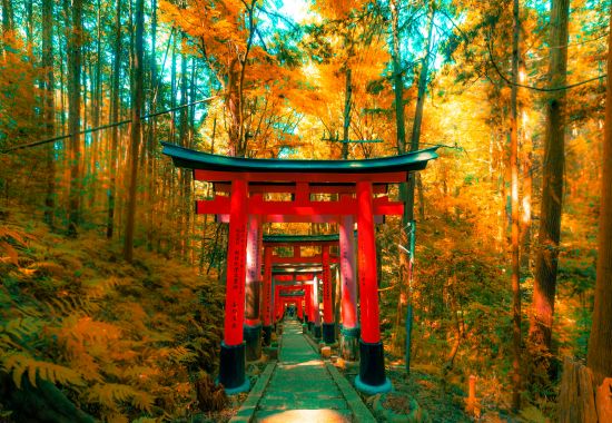 Oriente in ottobre tra Giappone, Corea, India e Vietnam