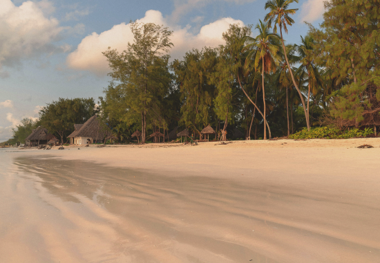Quando andare a Zanzibar: i periodi migliori