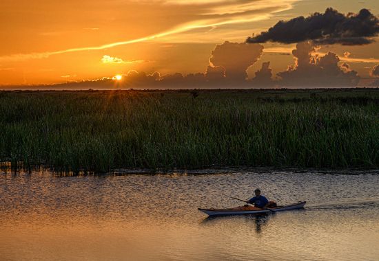 Visitare le Everglades per vedere gli alligatori in Florida
