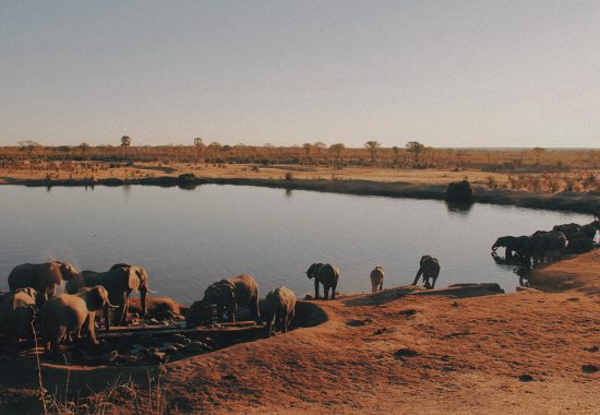 5 cose da sapere prima di visitare lo Zimbabwe
