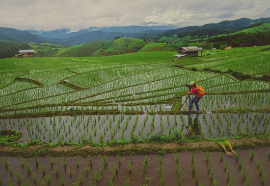 Viaggio fotografico in Indonesia tra Bali e Gili