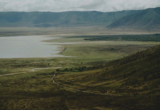 Safari in Tanzania: perché visitare il cratere di Ngorongoro