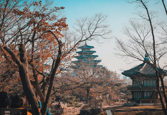 Il periodo migliore per visitare la Corea del Sud Il periodo migliore per visitare la Corea del Sud