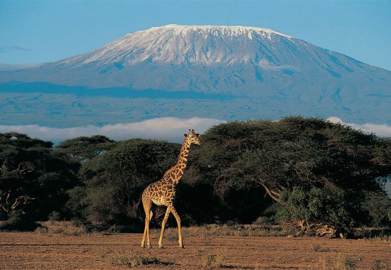 Tanzania ad agosto: Kilimangiaro, safari e Zanzibar