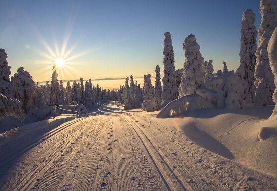 Cosa portare per un viaggio in Lapponia: Guida e consigli utili