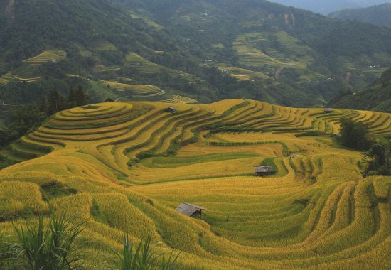 7 esperienze uniche da vivere nel Sud-Est Asiatico 7 esperienze uniche da vivere nel Sud-Est Asiatico