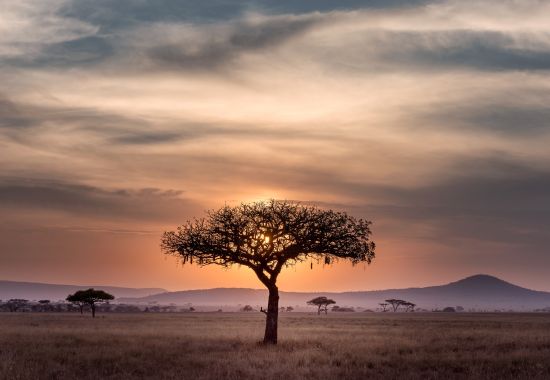 Serengeti, Tanzania