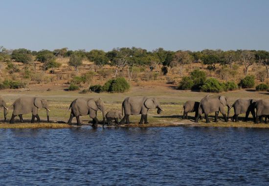 quando andare in botswana