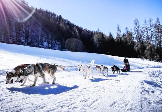 Dove andare a Natale? Le 5 migliori mete natalizie