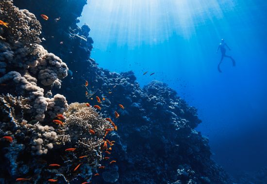 Viaggi di gruppo gennaio: mete consigliate 2026