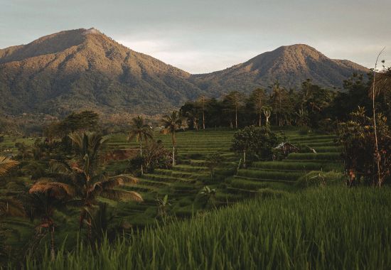 Guida completa per un indimenticabile viaggio in Indonesia