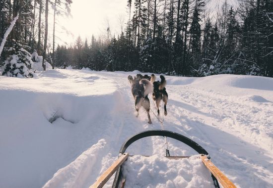 5 esperienze incredibili da vivere in un road trip tra Svezia e Finlandia