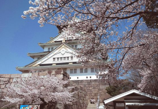 Scoprite cosa vedere a Osaka in un viaggio di gruppo in primavera