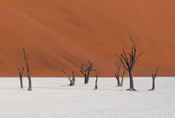 Namibia Safari Namibia Safari