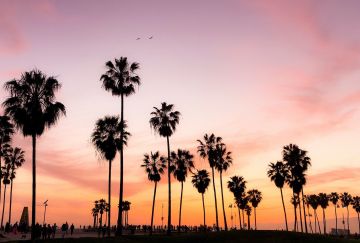 California Dreaming: Happy 2022! California Dreaming: Happy 2022!