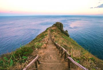 Madeira Wild Madeira Wild