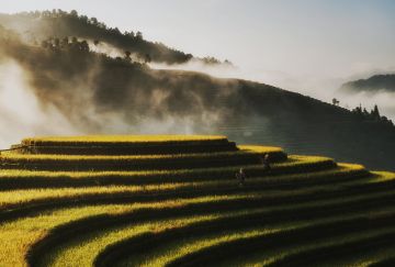 Viaggio in Vietnam e Cambogia