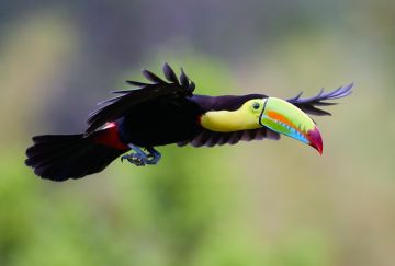 Viaggio di gruppo a Panama e Costa Rica