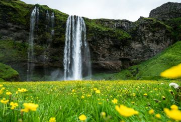 viaggio di gruppo in Islanda